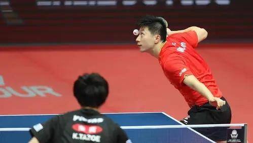 马龙与樊振东，乒乓赛场上的巅峰对决